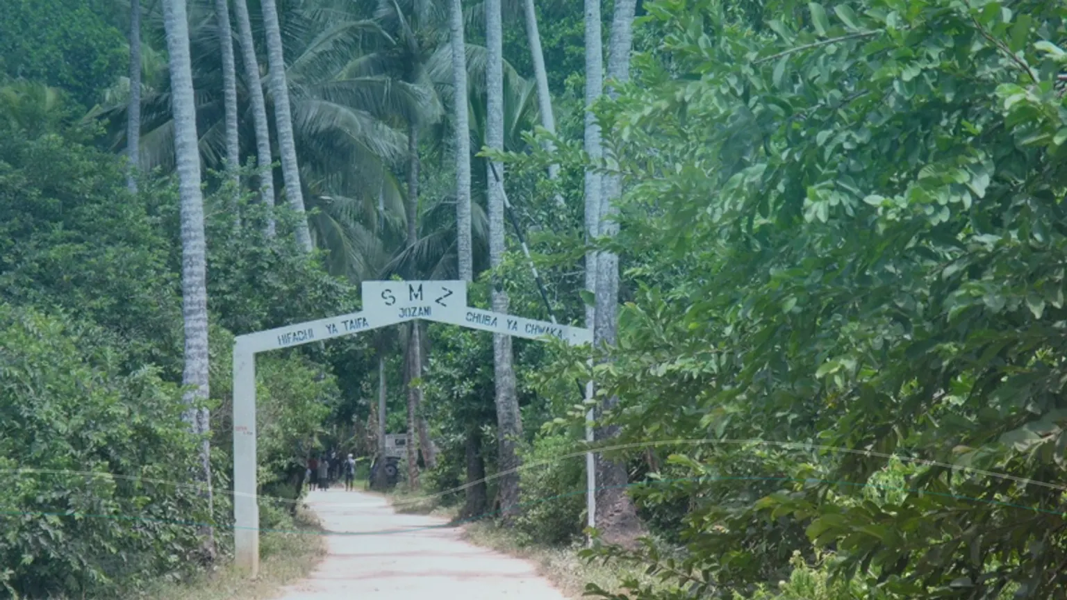 Paisagem verde de Zanzibar usada como imagem editorial para transfer sudeste