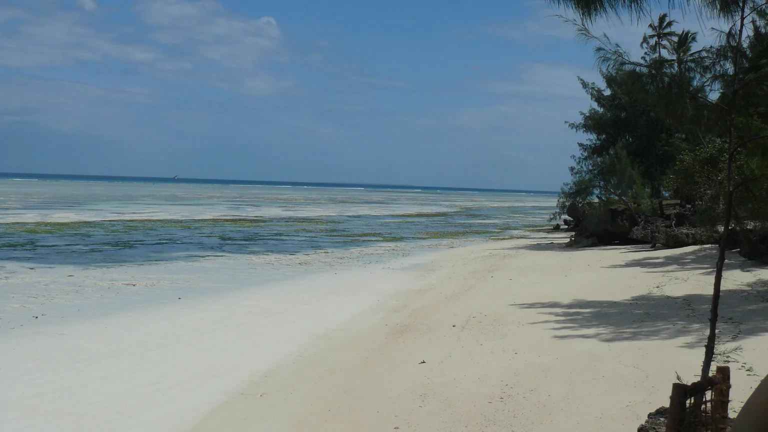 Praia de Zanzibar com maré baixa e oceano ao fundo