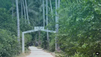 Paisagem verde de Zanzibar usada como imagem editorial para transfer sudeste