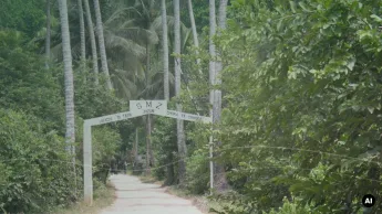 Passadiço em Jozani Forest usado como imagem editorial para famílias em Zanzibar