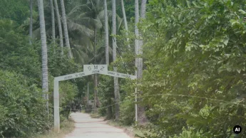 Paisagem verde usada como imagem editorial para mala de safari mais Zanzibar